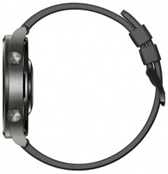 Смарт-часы Huawei Watch GT2 Pro Black - фото6