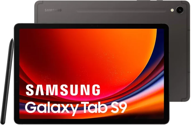 Планшет Samsung Galaxy Tab S9 5G SM-X716 12GB/256GB (графитовый) - фото