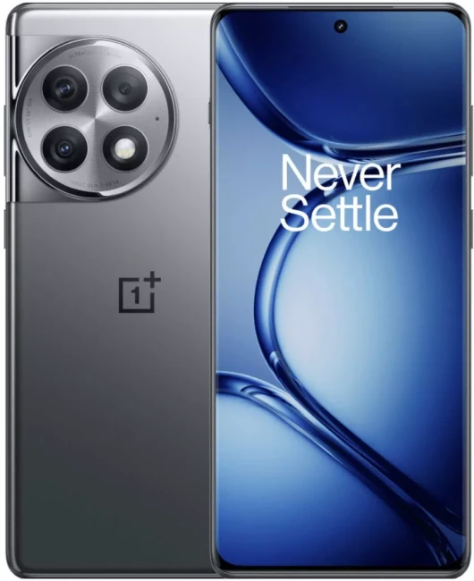 Смартфон OnePlus Ace 2 Pro 12GB/256GB китайская версия (серый) - фото