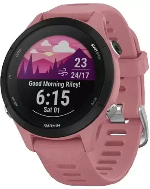 Умные часы Garmin Forerunner 255S 41 мм (пыльная роза/черный) - фото