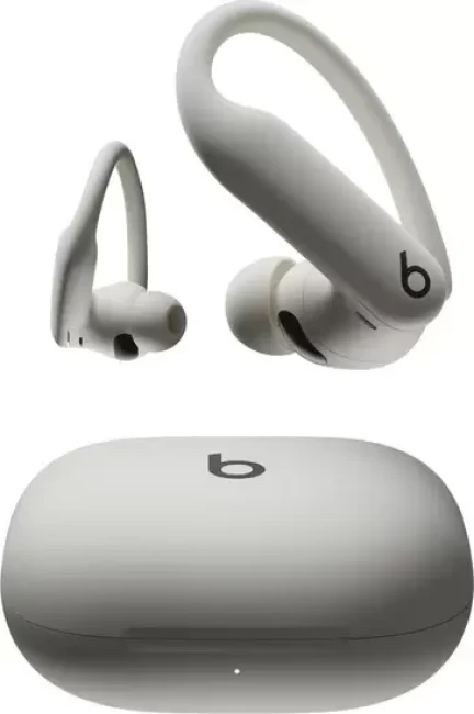 Наушники Beats Powerbeats Pro 2 (серый) - фото