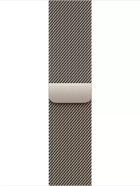 Умные часы Apple Watch Series 11 LTE 46 мм (титановый корпус, сланец/природный, миланская петля) - фото3