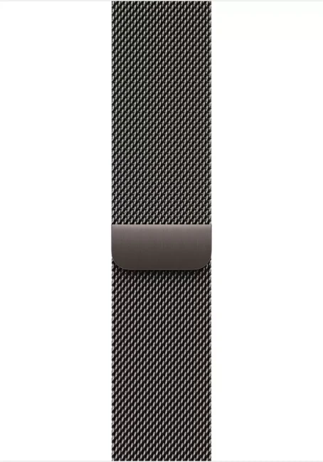 Умные часы Apple Watch Series 11 LTE 46 мм (титановый корпус, золотистый/сланец, миланская петля) - фото3