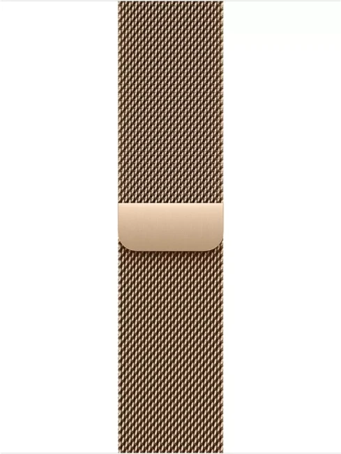 Умные часы Apple Watch Series 11 LTE 46 мм (титановый корпус, сланец/золотистый, миланская петля) - фото3