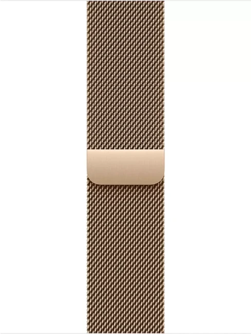 Умные часы Apple Watch Series 11 LTE 42 мм (титановый корпус, сланец/золотистый, миланская петля) - фото3