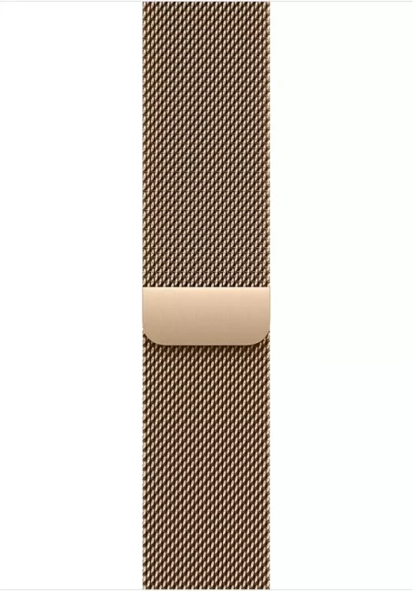 Умные часы Apple Watch Series 11 LTE 46 мм (титановый корпус, природный/золотистый, миланская петля) - фото3