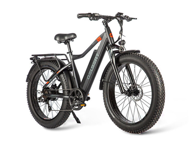 Электровелосипед Gelbert Pegas 1 PRO - фото10