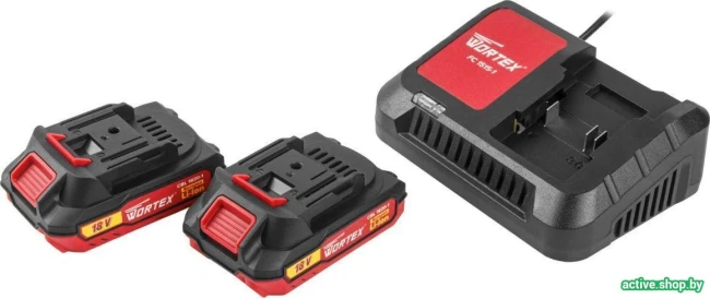 Дрель-шуруповерт Wortex BD 1820-1 Li 0329209 - фото6
