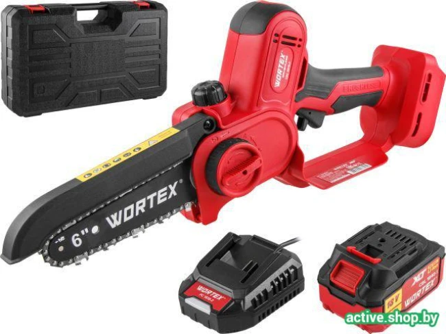 Аккумуляторная пила Wortex CEC 2518-2 1334828 (с 1-им АКБ)