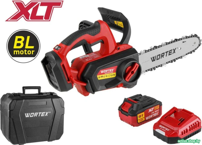 Аккумуляторная пила Wortex CEC 2518-3 ALL1 XLT Set 2325004 (с 1-им АКБ, кейс) - фото