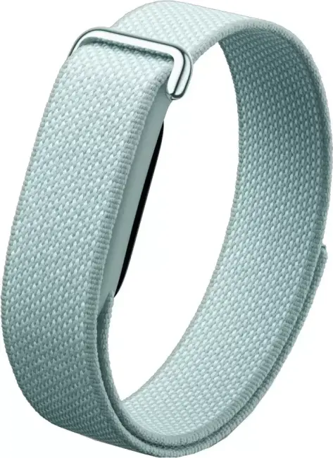 Фитнес-браслет Google Fitbit Air (туманный)