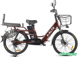 Велогибрид Eltreco Green City E-Alfa Lux 2021 (коричневый) - фото