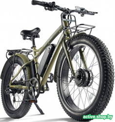 Электровелосипед Volteco BigCat Dual New 2020 (зеленый) - фото2