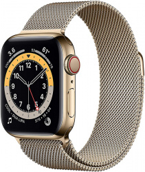 Смарт-часы Apple Watch Series 6 LTE 40mm Stainless Steel Gold (M06W3) - фото