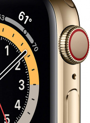 Смарт-часы Apple Watch Series 6 LTE 40mm Stainless Steel Gold (M06W3) - фото2