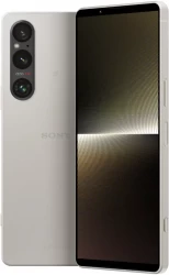 Смартфон Sony Xperia 1 V 12GB/512GB (платиновое серебро) - фото