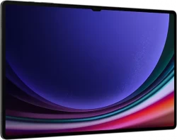 Планшет Samsung Galaxy Tab S9 Ultra 5G SM-X916 12GB/512GB (графитовый) - фото7