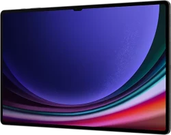 Планшет Samsung Galaxy Tab S9 Ultra 5G SM-X916 12GB/256GB (графитовый) - фото5