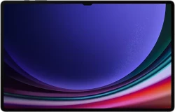 Планшет Samsung Galaxy Tab S9 Ultra 5G SM-X916 16GB/1TB (графитовый) - фото2