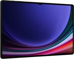 Планшет Samsung Galaxy Tab S9 Ultra 5G SM-X916 12GB/256GB (графитовый) - фото7