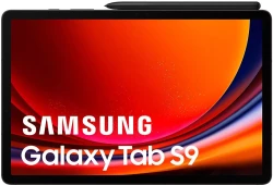 Планшет Samsung Galaxy Tab S9 5G SM-X716 12GB/256GB (графитовый) - фото2