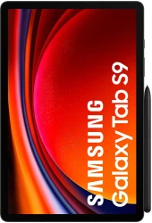 Планшет Samsung Galaxy Tab S9 5G SM-X716 12GB/256GB (графитовый) - фото3