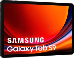 Планшет Samsung Galaxy Tab S9 5G SM-X716 12GB/256GB (графитовый) - фото4