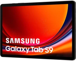Планшет Samsung Galaxy Tab S9 5G SM-X716 12GB/256GB (графитовый) - фото5