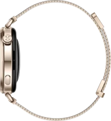 Умные часы Huawei Watch GT 6 41 мм (золотистый, с золотистым миланским браслетом, международная версия) - фото4