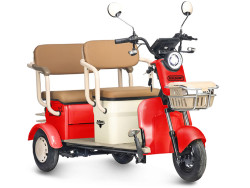 Электротрицикл Gelbert Atlas 48V/60V 600W - фото3