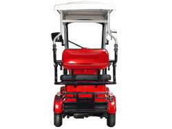 Электротрицикл Gelbert Hara 48V/60V 600W - фото8