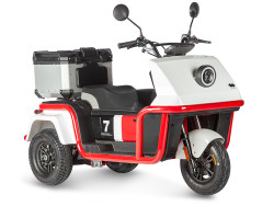 Электротрицикл Wanshida DOUHAO 60V 800W - фото