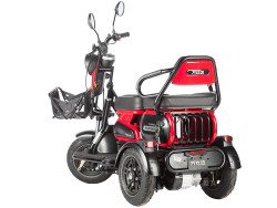 Электротрицикл Wanshida HOT HATCH 60V 650W - фото8