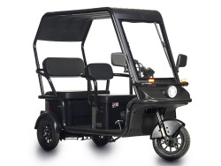 Электротрицикл Wanshida NIPLA 570 60V 1000W - фото