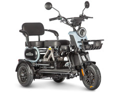 Электротрицикл Wanshida UN MOTO 60V 650W - фото2