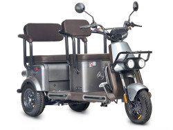 Электротрицикл Wanshida U1-X 60V 800W - фото