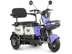 Электротрицикл Gelbert Vega 48V/60V 600W - фото5