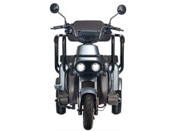 Электротрицикл Wanshida U1-X 60V 800W - фото3