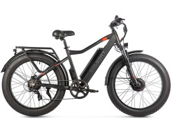 Электровелосипед Gelbert Pegas 4 DUAL PRO MAX - фото2