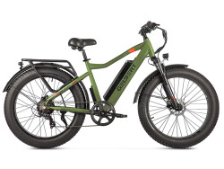 Электровелосипед Gelbert Pegas 1 PRO - фото2