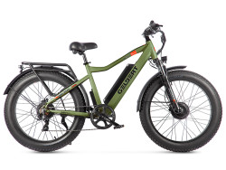 Электровелосипед Gelbert Pegas 3 DUAL PRO - фото3